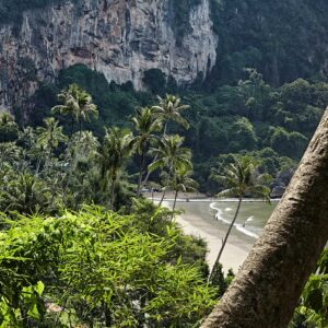 Thailand, palm trees and cliffs at Pai Plong Beach