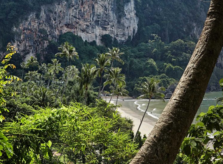 Tailândia, palmeiras e falésias na praia de Pai Plong