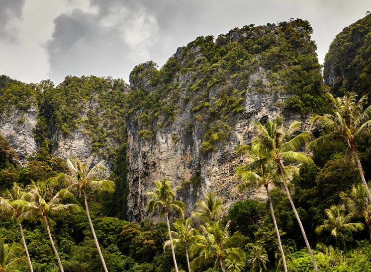 Tailândia, palmeiras e falésias na praia Pai Plong