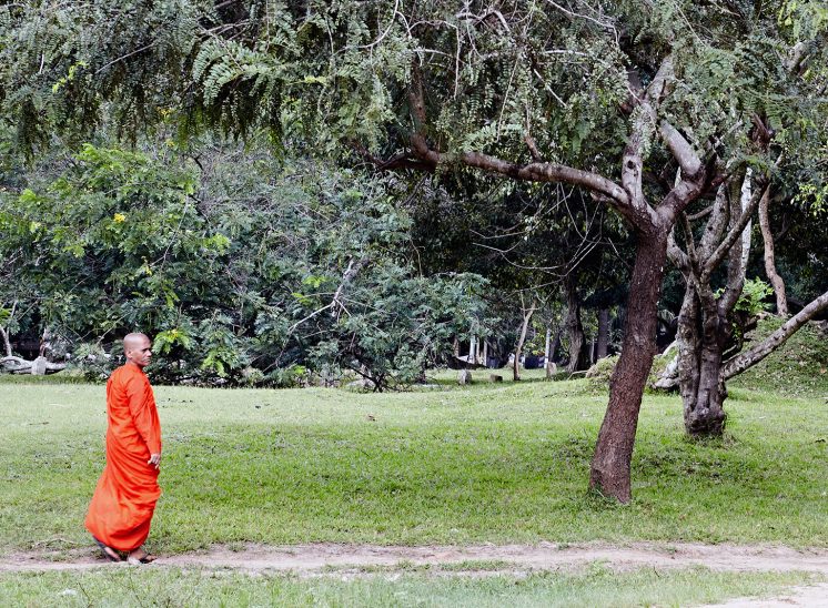 Sri Lanka, monge budista a caminha numa floresta