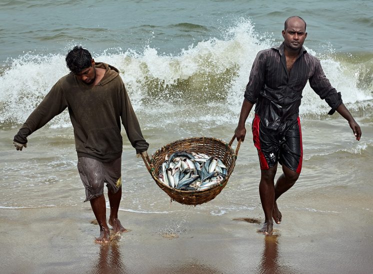Sri Lanka, dois pescadores regressam do mar com peixe lavad